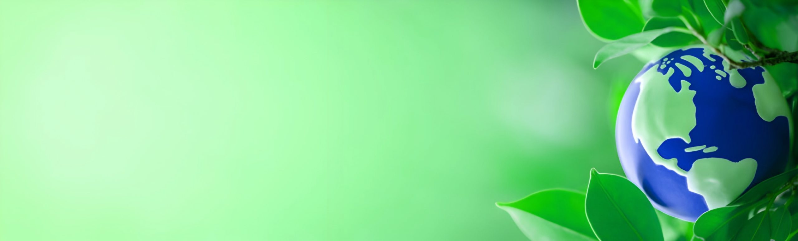 background môi trường 1